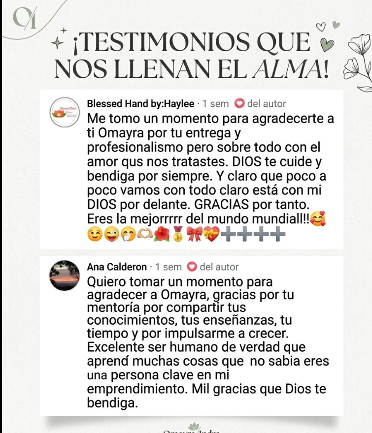 Programa VIP 1:1 — Acompañamiento Intensivo para tu Negocio Creativo
